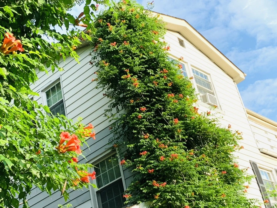 IMG_5851.jpg?type=w966