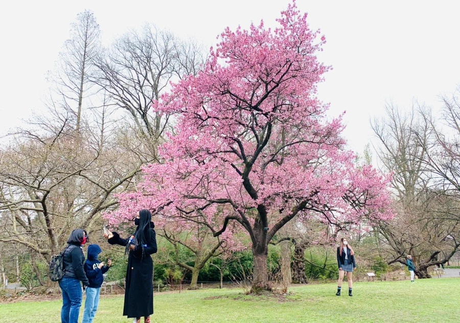 IMG_7032.jpg?type=w966