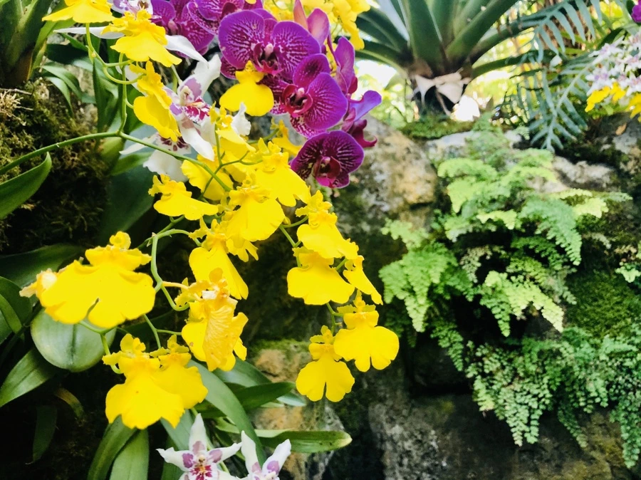 IMG_6260.jpg?type=w966