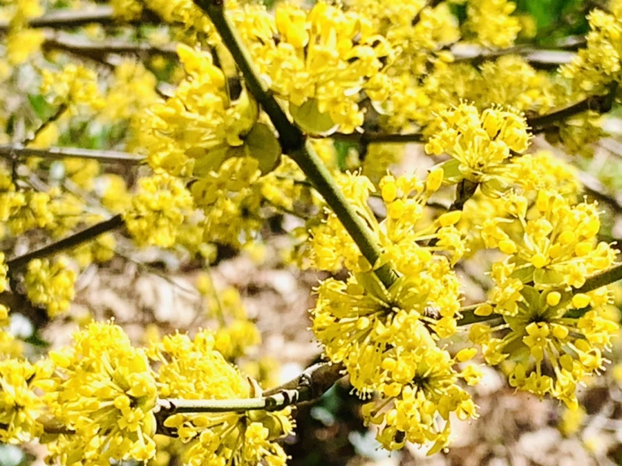 IMG_5690.jpg?type=w966