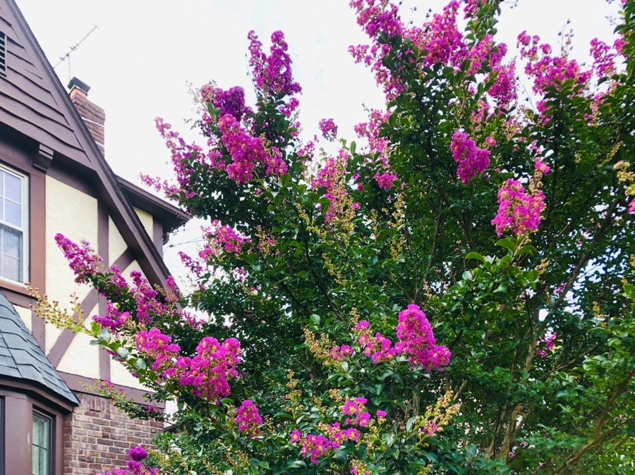 IMG_5676.jpg?type=w966