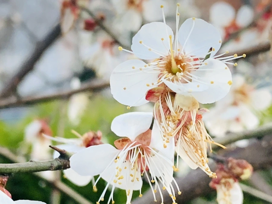 IMG_2362.jpg?type=w966