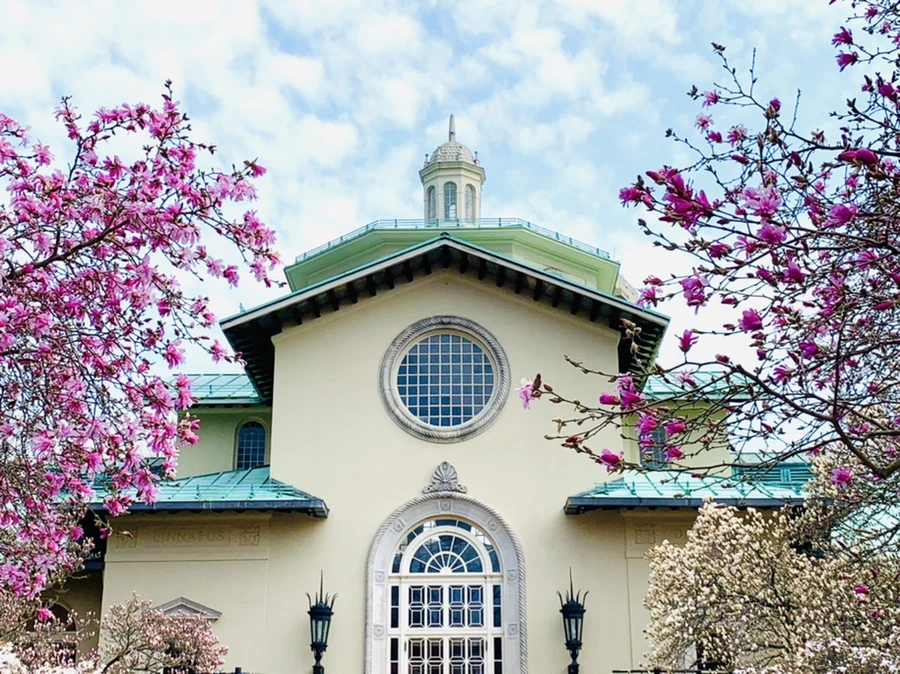 IMG_7222.jpg?type=w966