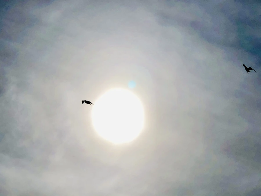 IMG_3116.jpg?type=w966