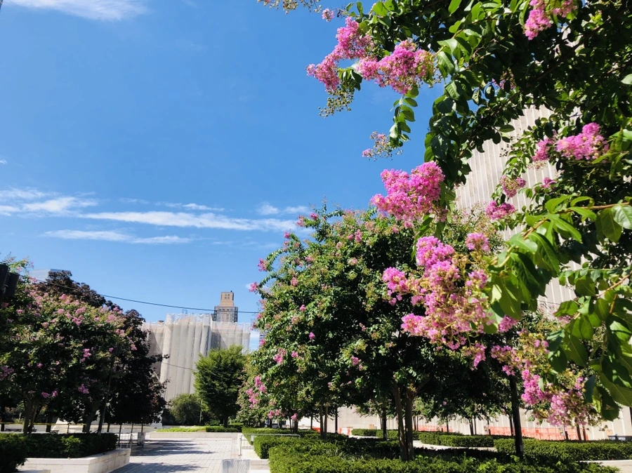 IMG_9063.jpg?type=w966