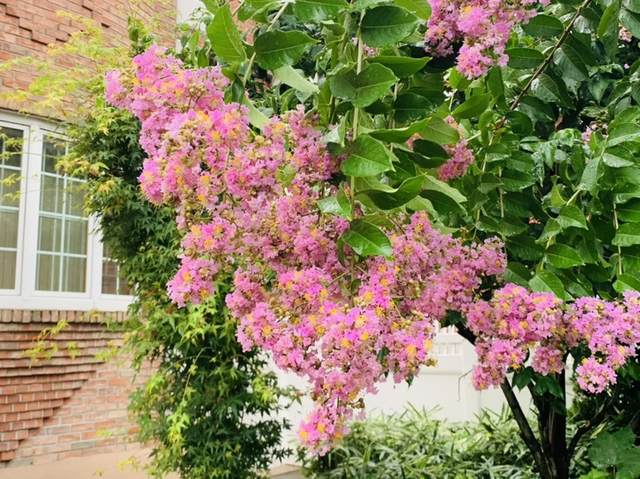 IMG_3703.jpg?type=w966