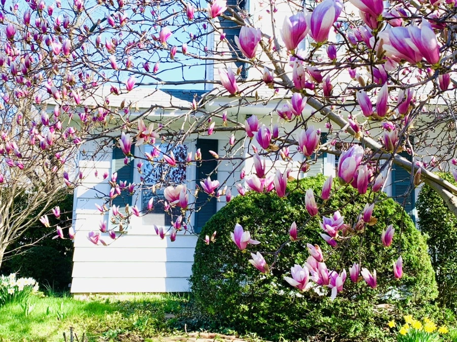 IMG_7506.jpg?type=w966