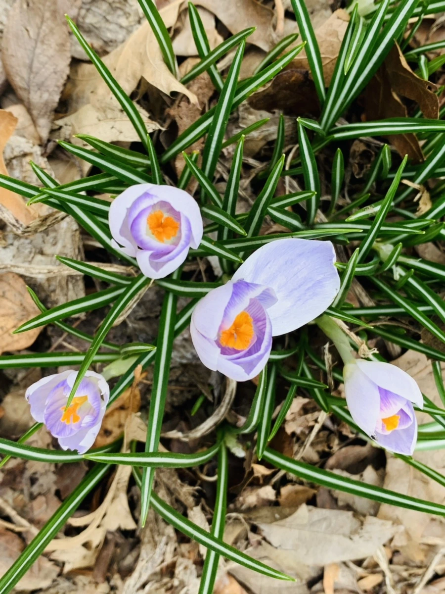 IMG_3512.jpg?type=w966