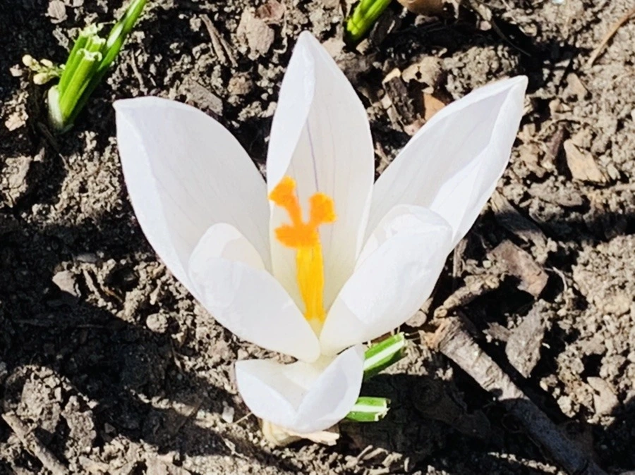 BHUC24GBPUBH6UVriFC7DN5hF2g