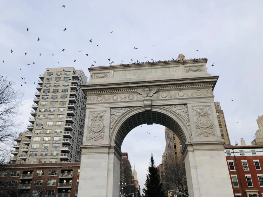 IMG_8541.jpg?type=w966