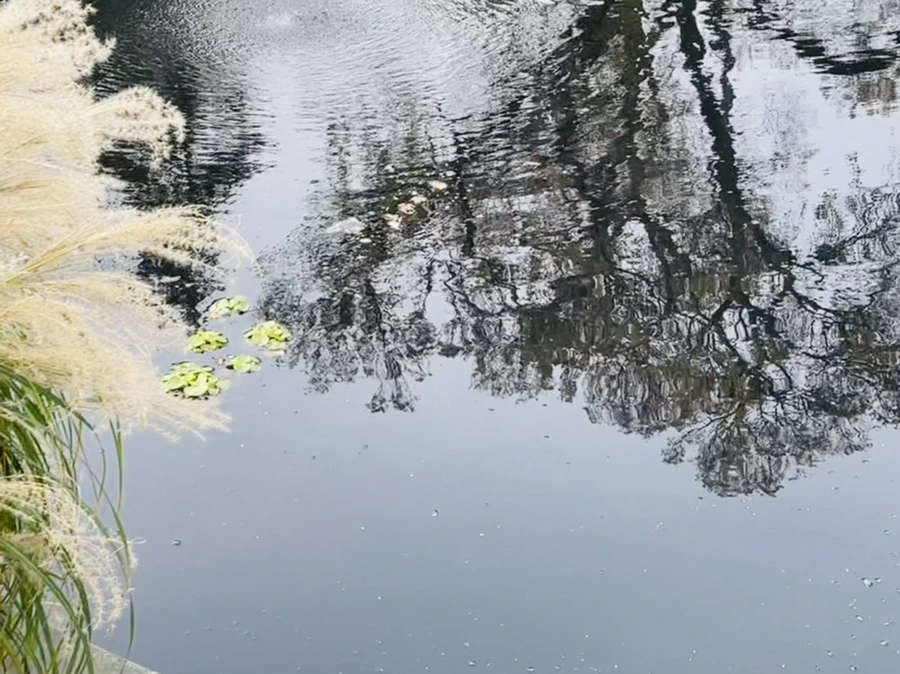 IMG_2388.jpg?type=w966