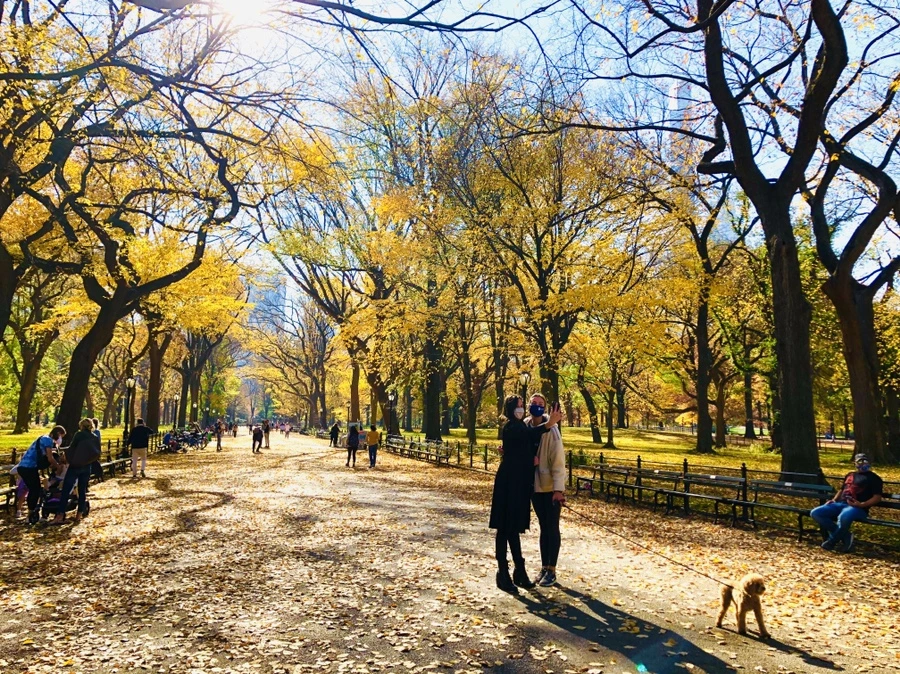 IMG_4288.jpg?type=w966