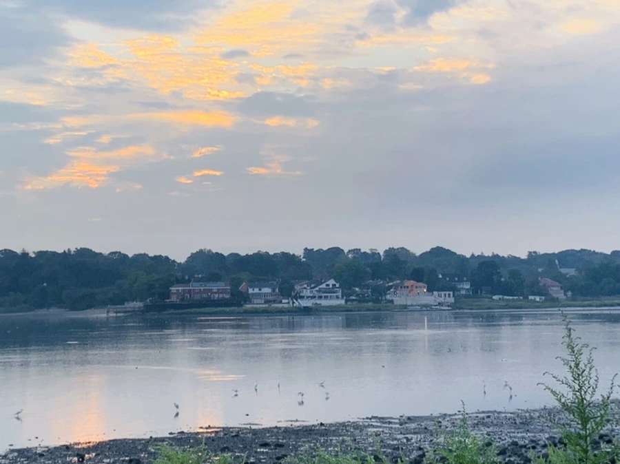 IMG_8209.jpg?type=w966