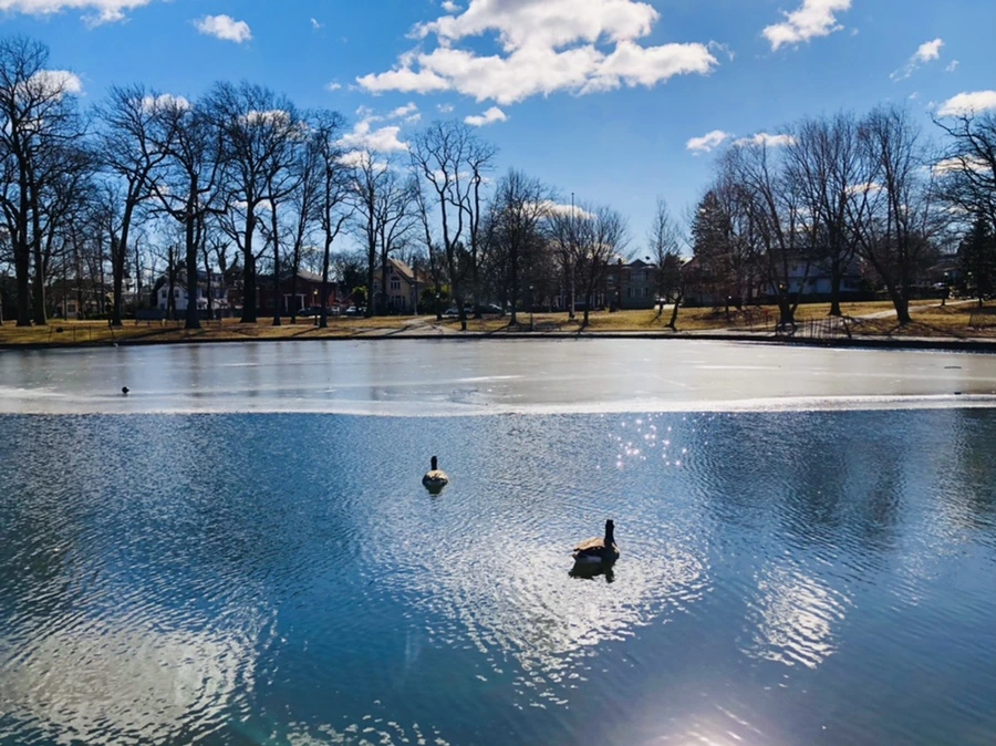 IMG_7621.jpg?type=w966