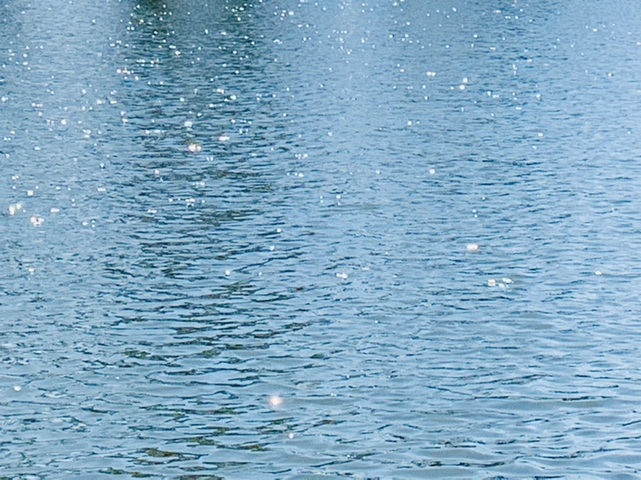 IMG_4490.jpg?type=w966