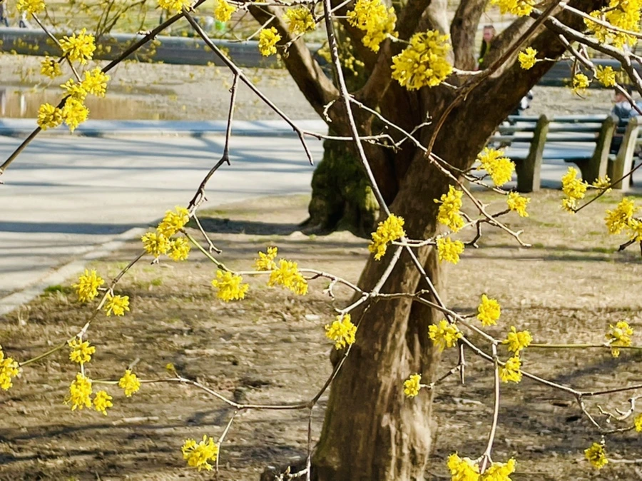 IMG_5565.jpg?type=w966