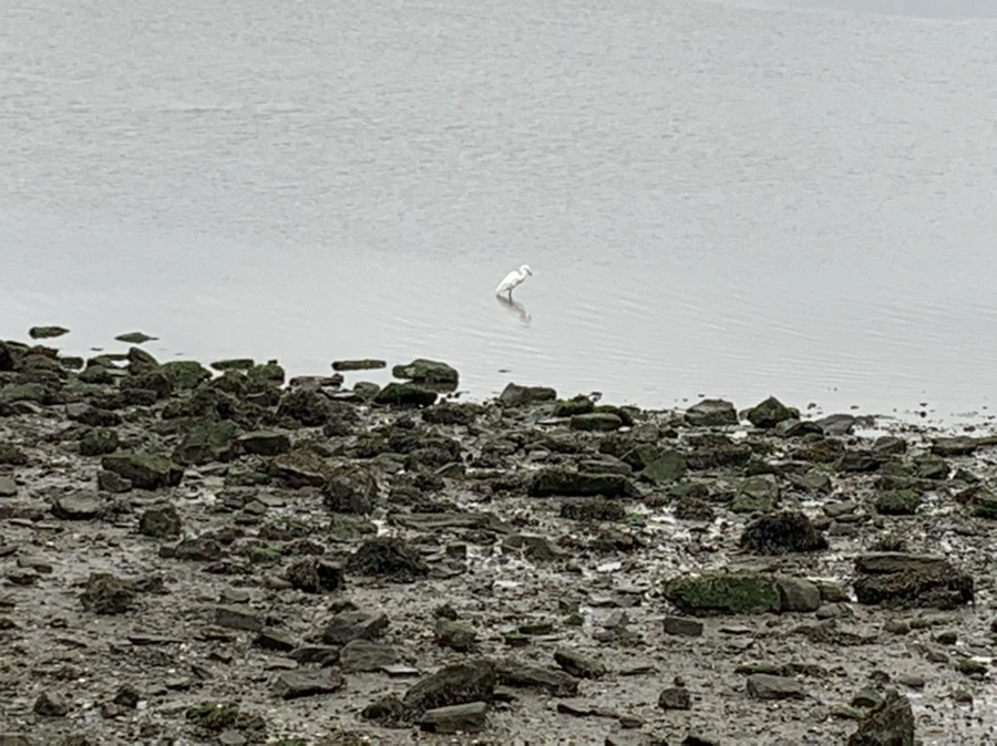 IMG_3631.jpg?type=w966