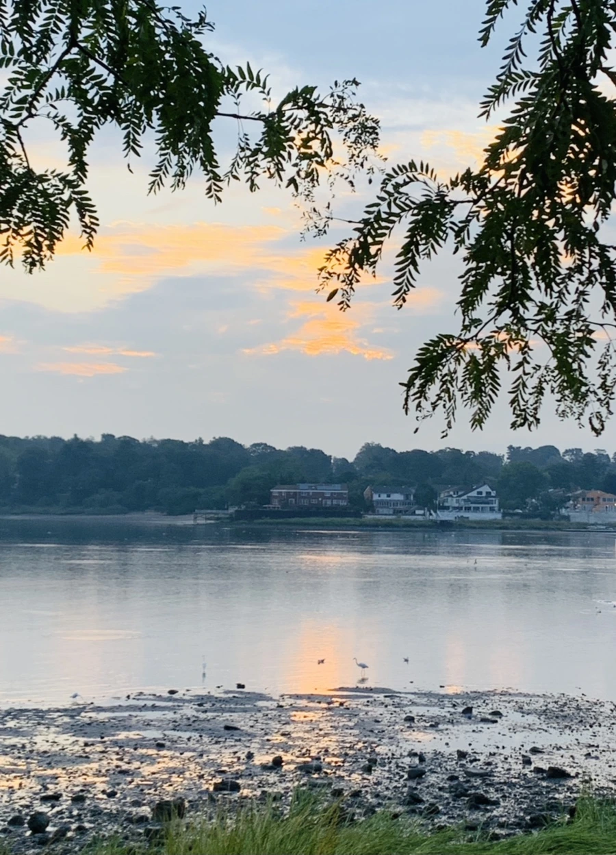 IMG_8202.jpg?type=w966