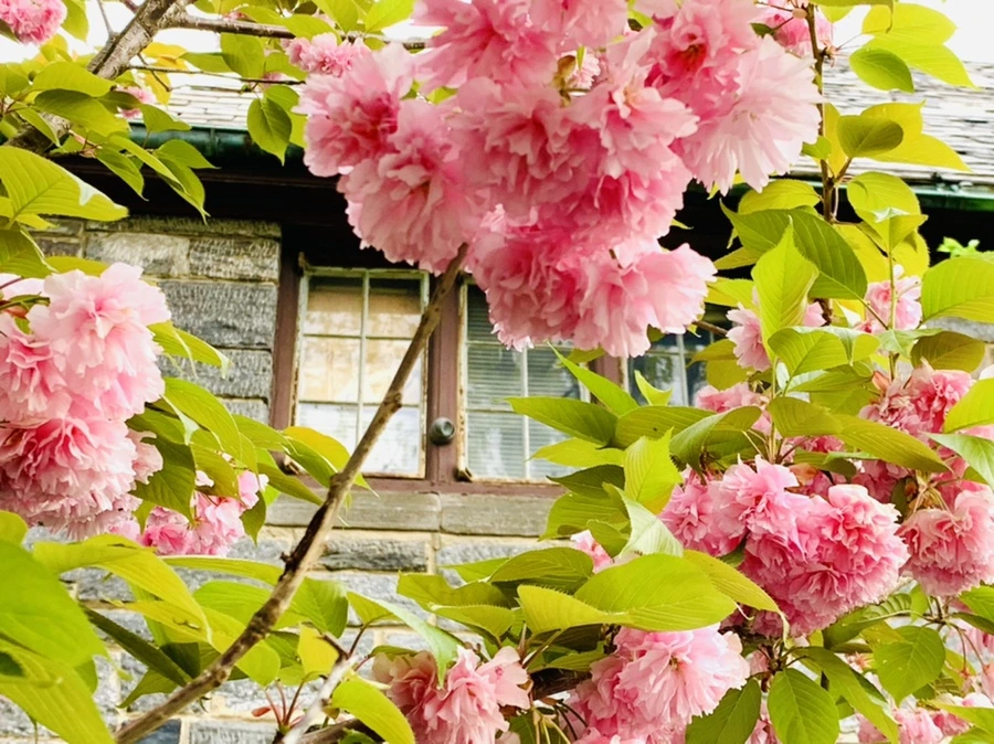 IMG_8988.jpg?type=w966