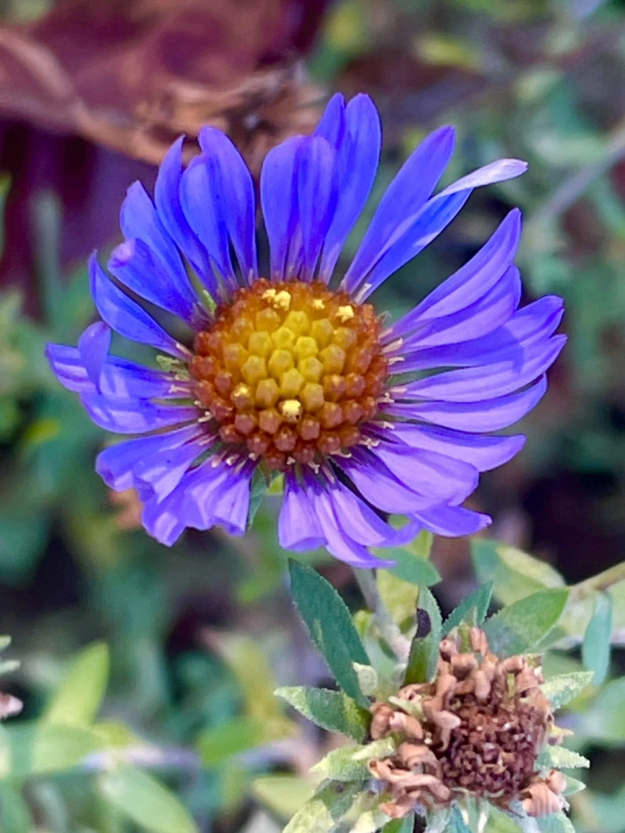 IMG_6027.jpg?type=w966