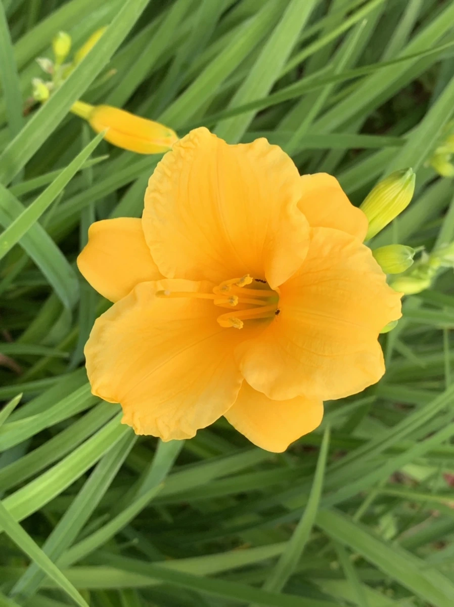 IMG_2240.jpg?type=w966