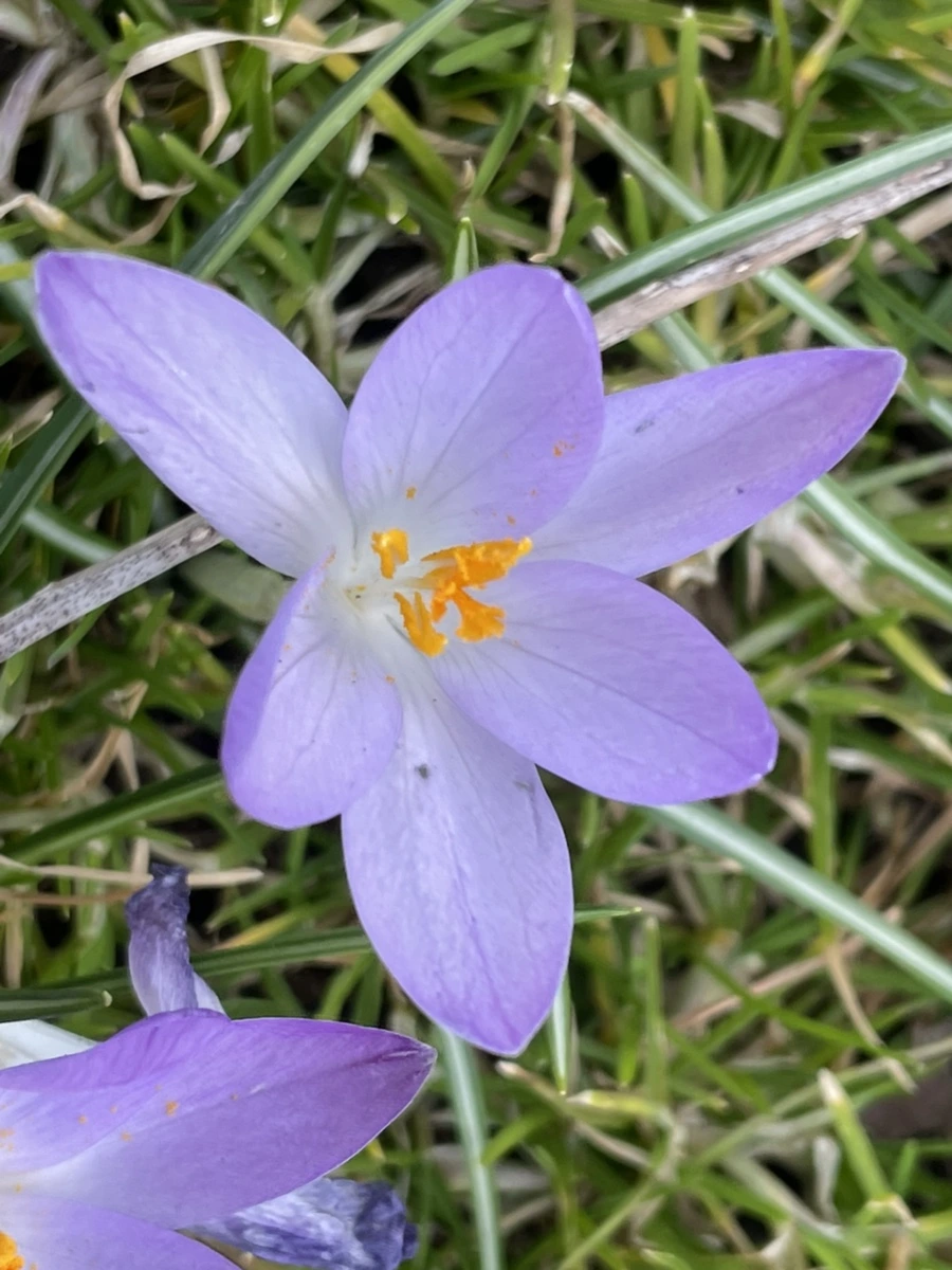 IMG_5335.jpg?type=w966