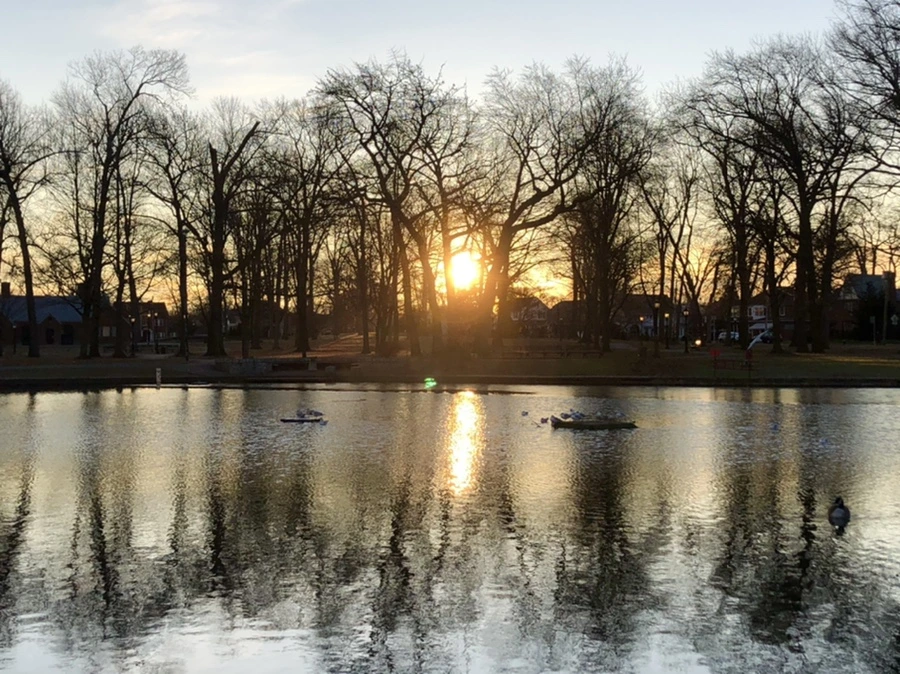 IMG_0760.jpg?type=w966