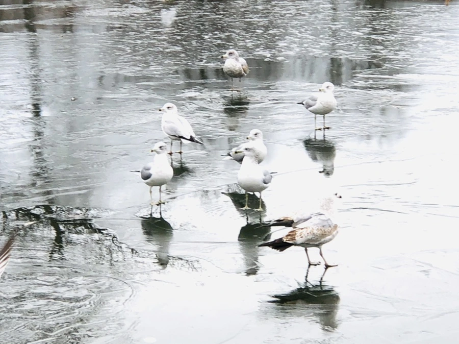 IMG_8897.jpg?type=w966