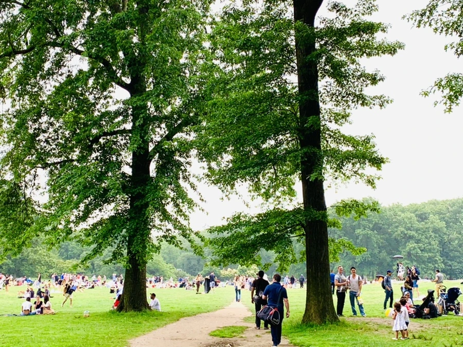 IMG_3317.jpg?type=w966