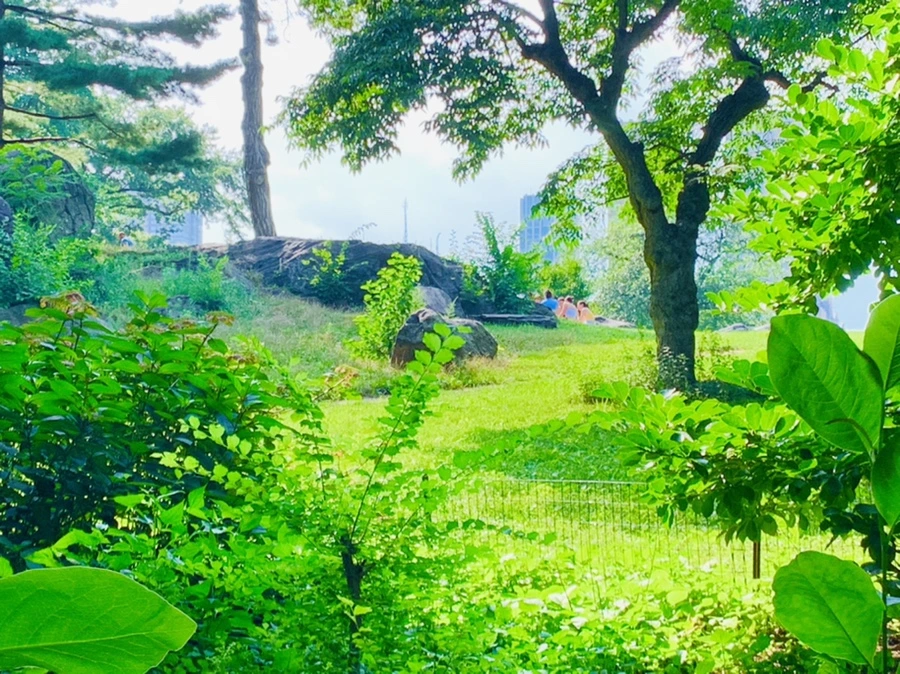 IMG_0649.jpg?type=w966