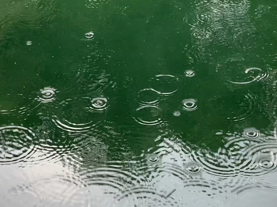 IMG_1722.jpg?type=w966