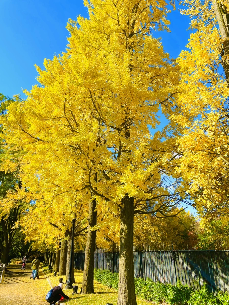 IMG_3194.jpg?type=w966