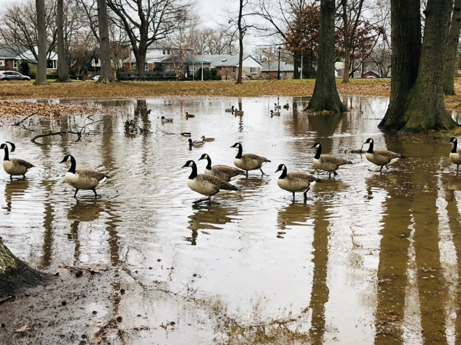 IMG_9653.jpg?type=w966