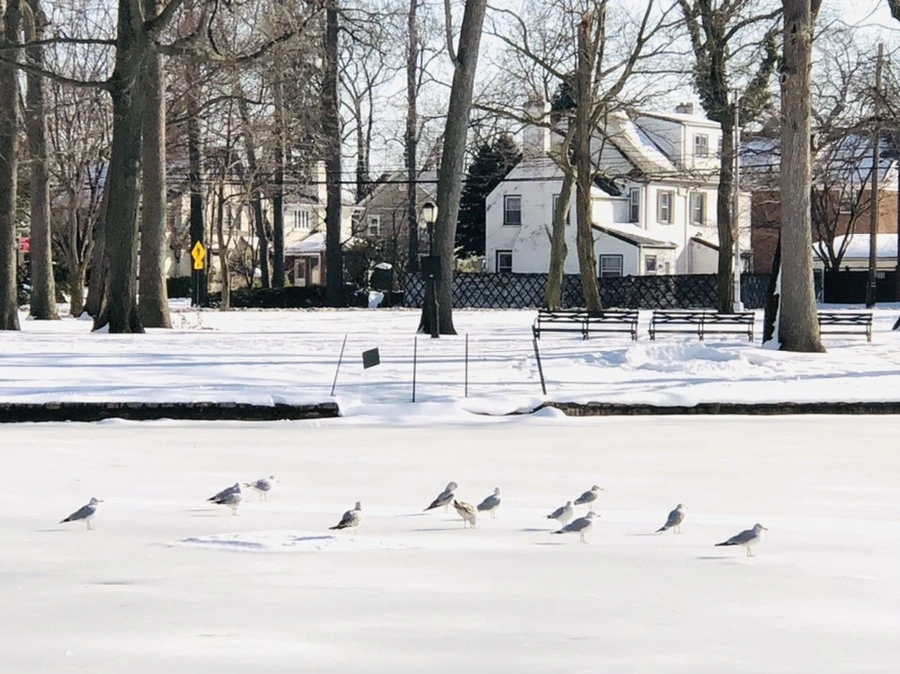 iXZ2uUpTARypRqO3JaYr_wIwcyg