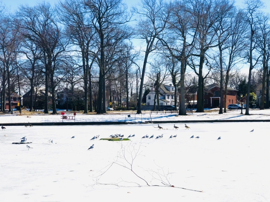 IMG_4955.jpg?type=w966