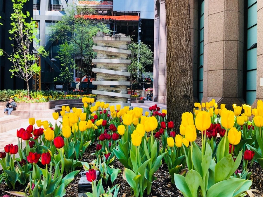 IMG_5164.jpg?type=w966