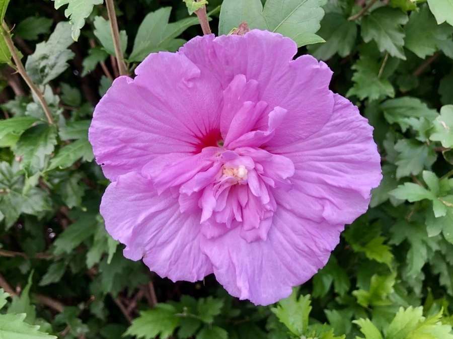 gYCY6vU8iwaw6HsjW2uRqJMkF_k