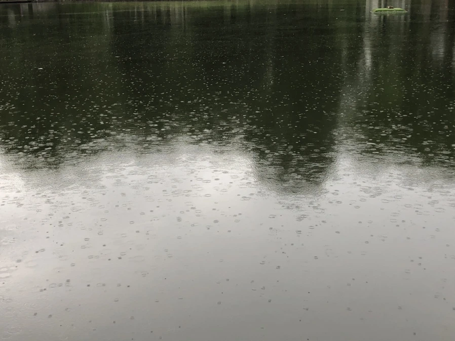 IMG_3211.jpg?type=w966