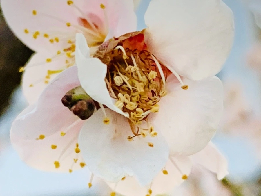 GTIOpLUq7W7UZP_OX-DIY05dwAw