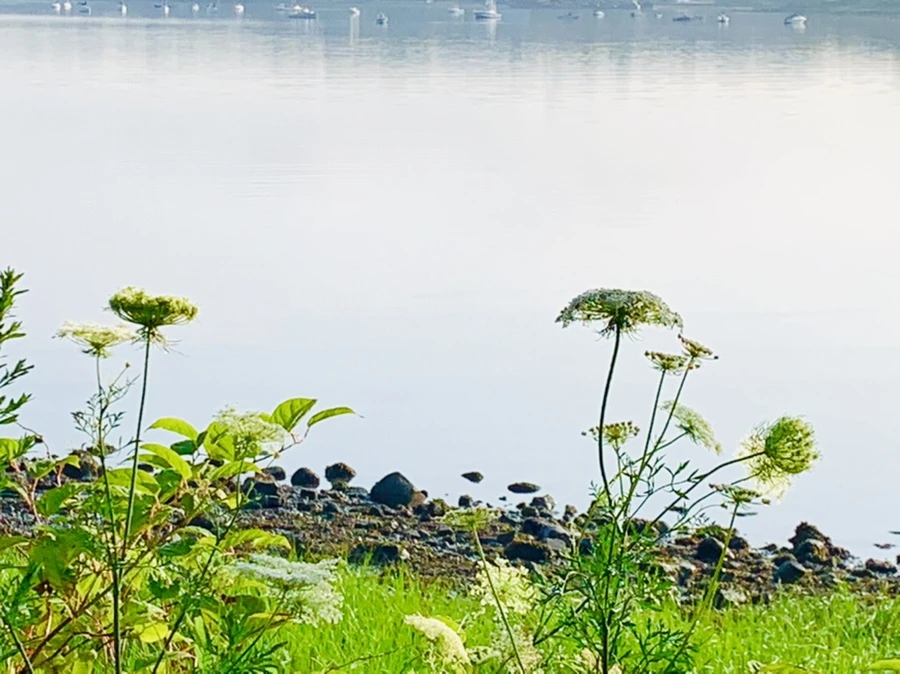 IMG_4381.jpg?type=w966