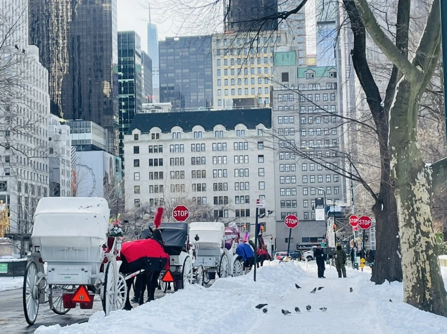 IMG_0956.jpg?type=w966