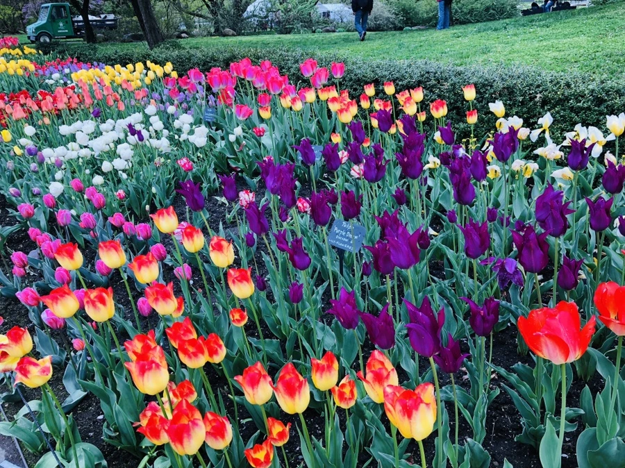 IMG_3748.jpg?type=w966