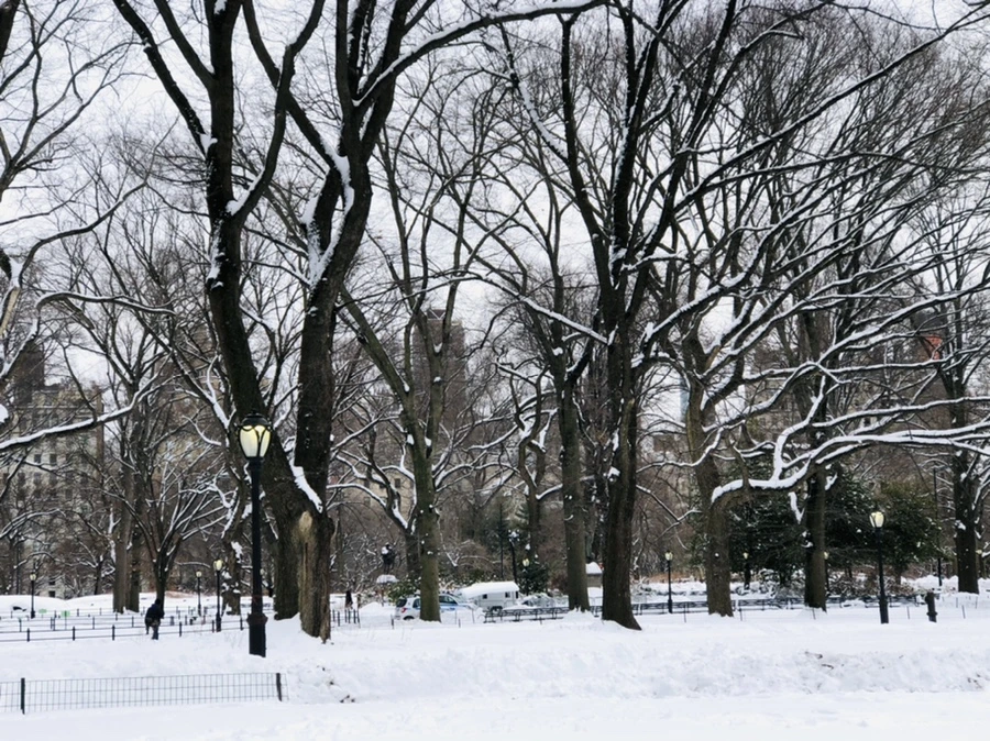 IMG_9566.jpg?type=w966