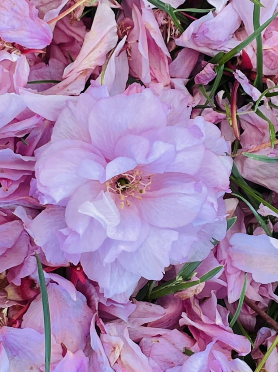 IMG_5943.jpg?type=w966