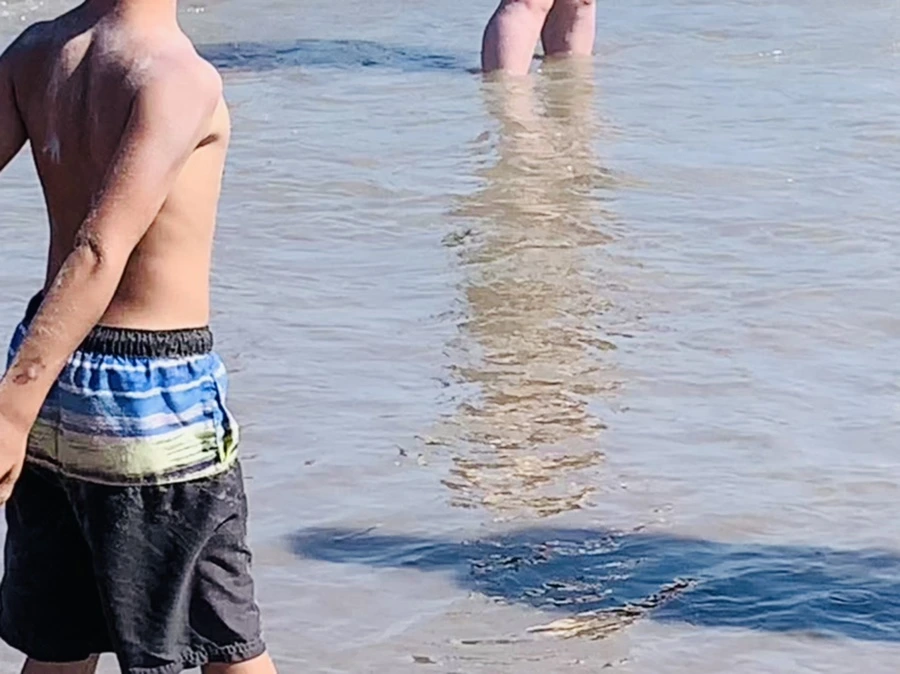 IMG_1069.jpg?type=w966