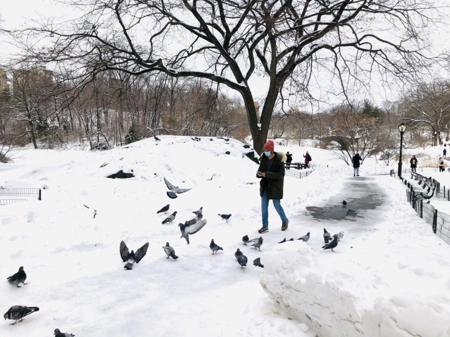 IMG_9118.jpg?type=w966