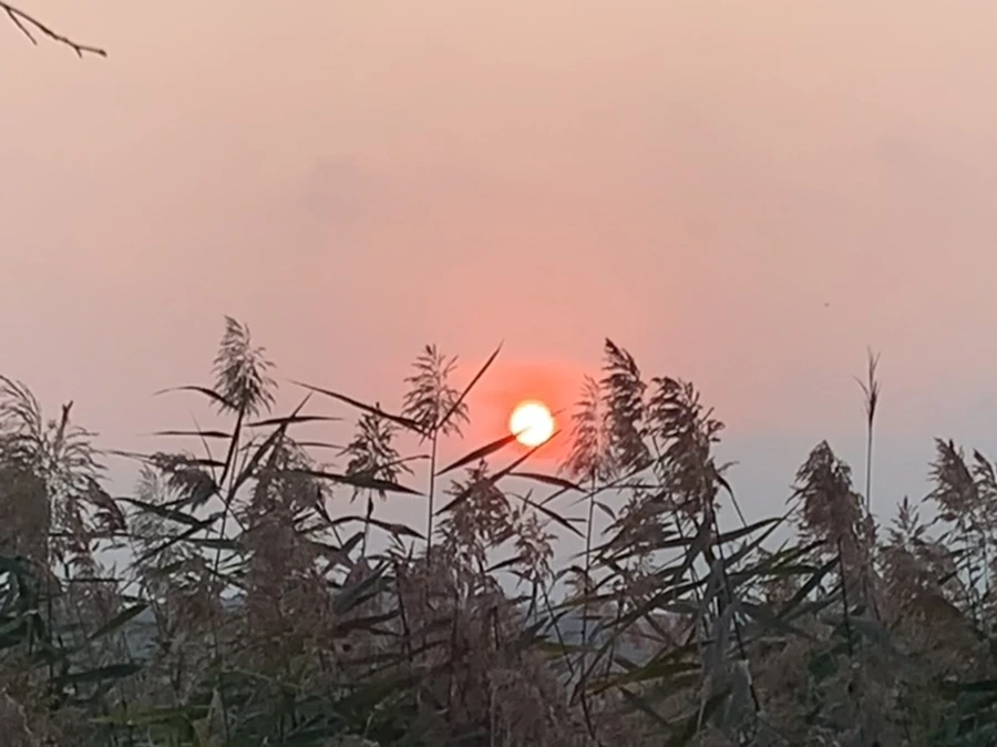 IMG_1108.jpg?type=w966