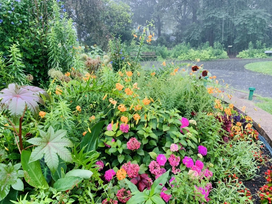 IMG_8806.jpg?type=w966