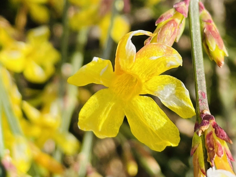 IMG_5393.jpg?type=w966