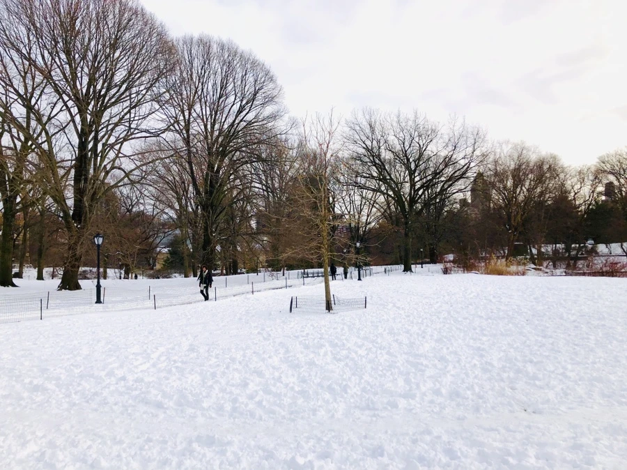 IMG_7321.jpg?type=w966